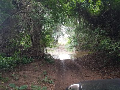 Fazenda, 1031 m² - Foto 5