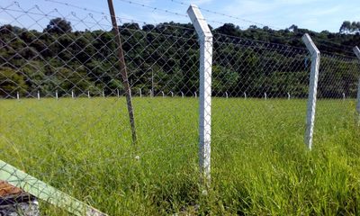 Sítio - Foto 3