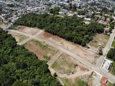 Terreno, 4 hectares - Foto 4
