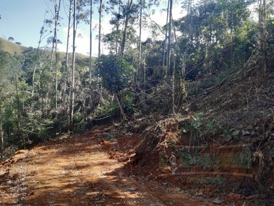 Terreno, 5000 m² - Foto 4