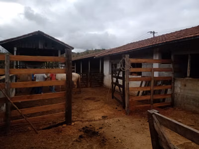 Fazenda, 10000 m² - Foto 1