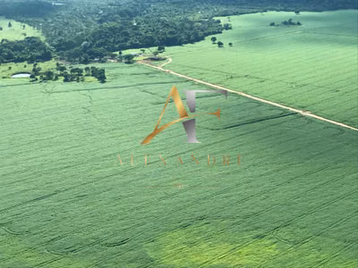 Fazenda, 370 m² - Foto 1