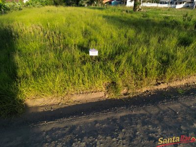 Chácara, 4 hectares - Foto 2