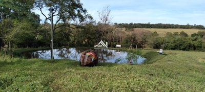 Chácara, 8 hectares - Foto 4