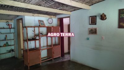 Fazenda, 2 hectares - Foto 3