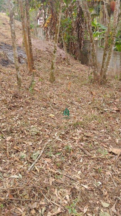 Terreno, 1000 m² - Foto 4