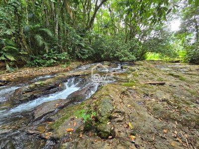 Chácara, 1 quarto, 2 hectares - Foto 5