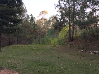 Sítio, 1 quarto, 3 hectares - Foto 3