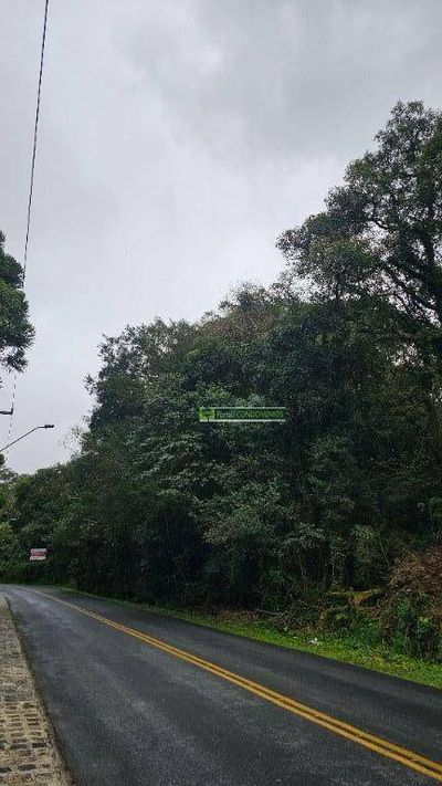 Terreno, 7 hectares - Foto 4