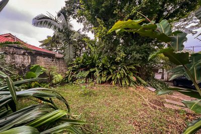 Terreno, 788 m² - Foto 4
