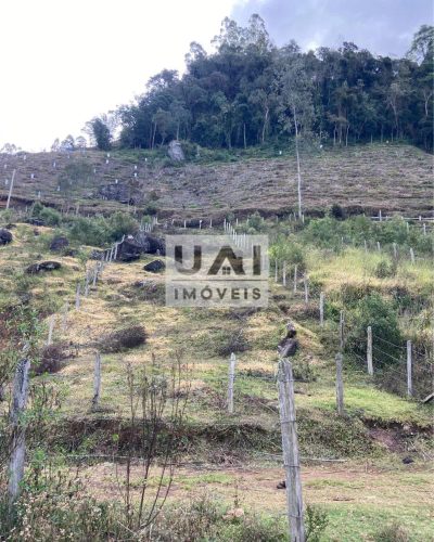 Terreno, 475 m² - Foto 3