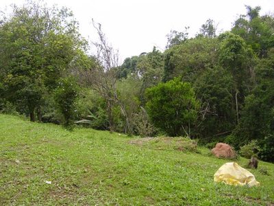 Terreno, 5409 m² - Foto 4
