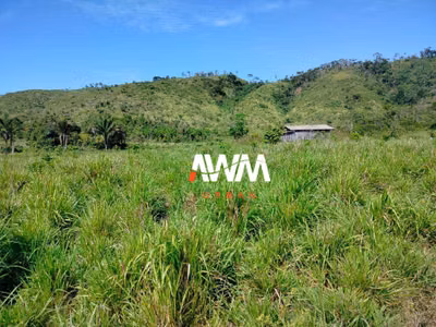 Fazenda, 222 hectares - Foto 5
