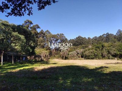 Sítio, 2501 m² - Foto 2