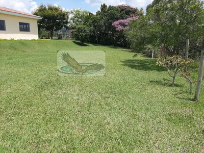 Sítio, 3 quartos, 2 hectares - Foto 4