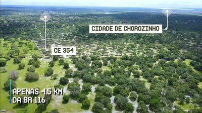 Terreno, 5000 m² - Foto 3