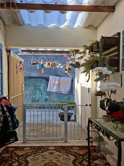 Casa, 4 quartos, 390 m² - Foto 4