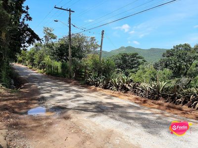 Terreno, 2 hectares - Foto 3