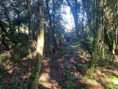 Terreno, 834 m² - Foto 3