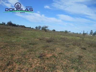 Sítio, 1 quarto, 2 hectares - Foto 4