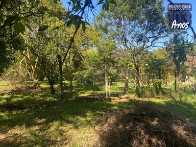 Terreno, 9750 m² - Foto 5