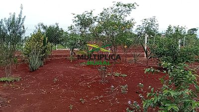 Depósito-Galpão - Foto 1