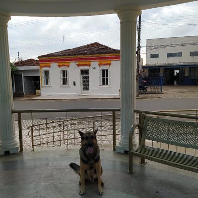 Casa, 11 quartos, 500 m² - Foto 5