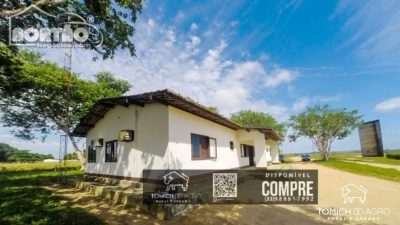 Casa, 2643 m² - Foto 2
