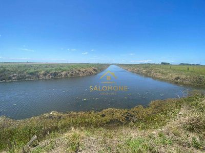 Fazenda, 100 hectares - Foto 1