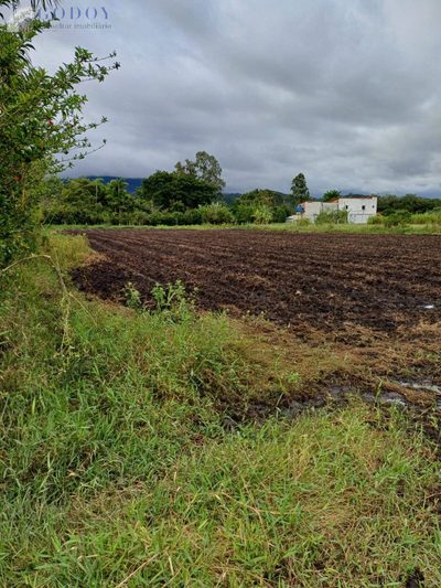 Terreno, 5000 m² - Foto 3