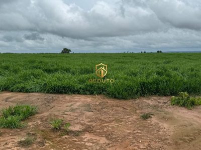 Fazenda - Foto 3
