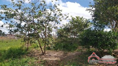 Terreno, 800 m² - Foto 4