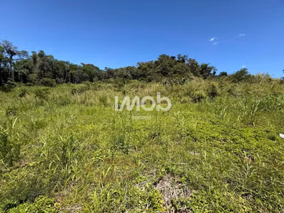 Terreno, 309 m² - Foto 1
