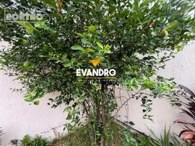Casa, 3 quartos, 98 m² - Foto 3