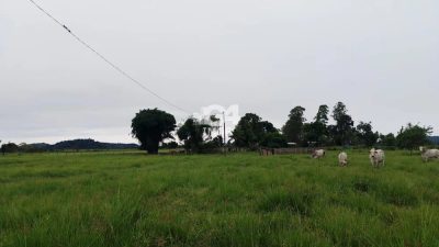 Sítio, 1 quarto - Foto 2