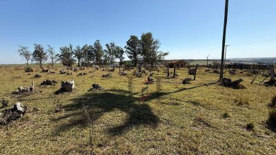 Terreno, 1000 m² - Foto 5