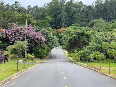 Terreno, 712 m² - Foto 5