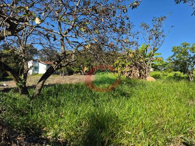 Loteamento e Condomínio, 3450 m² - Foto 3