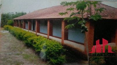 Terreno, 5000 m² - Foto 2