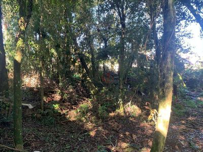 Terreno, 834 m² - Foto 4