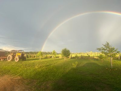 Fazenda, 95 hectares - Foto 5