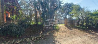 Chácara, 3 quartos, 33 m² - Foto 4