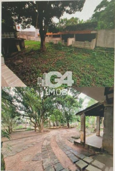 Sítio, 4 quartos, 6000 m² - Foto 5