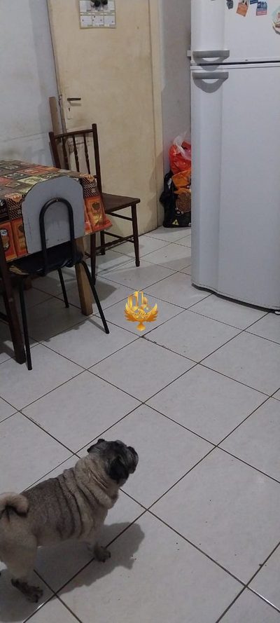 Casa, 2 quartos - Foto 4