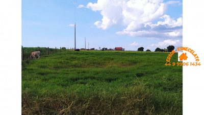 Sítio, 10000 m² - Foto 5