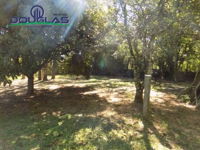 Terreno, 1250 m² - Foto 4