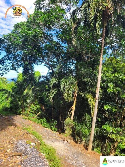Loteamento e Condomínio, 630 m² - Foto 2