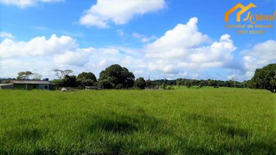 Fazenda, 247 hectares - Foto 5