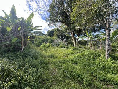 Sítio, 2 quartos, 4 hectares - Foto 2