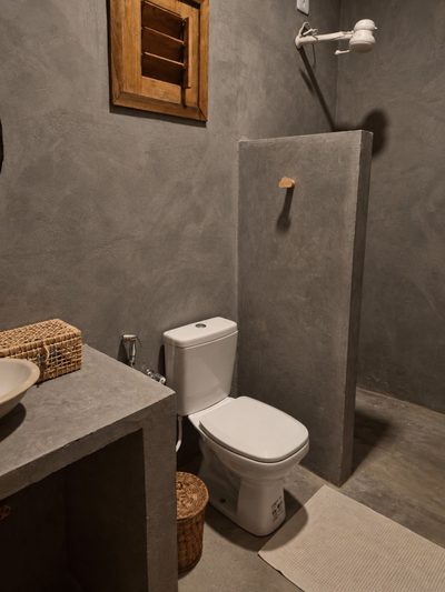 Casa, 4 quartos, 340 m² - Foto 4